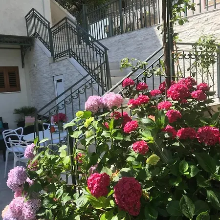 Mikovic * Budva